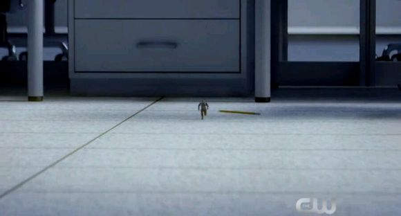 ��С��ԭ�����ڵ�����